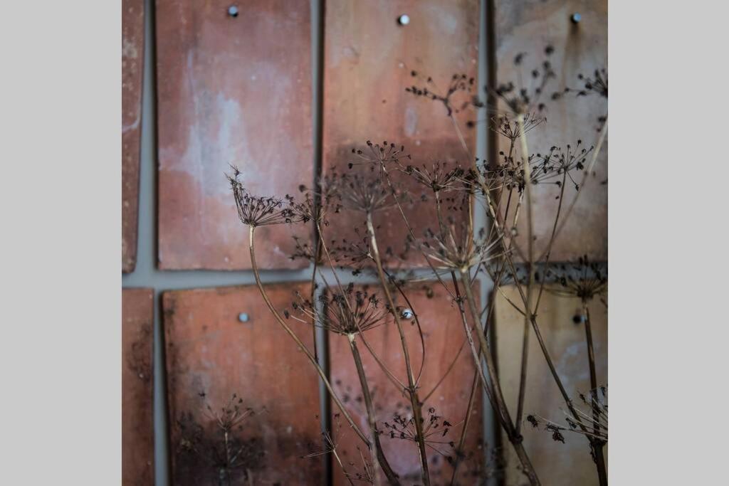 Appartement L’Étage et son patio à Ruelle-sur-Touvre Extérieur photo